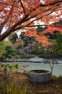 浄瑠璃寺の国宝薬師堂を臨む。紅葉が美しい。